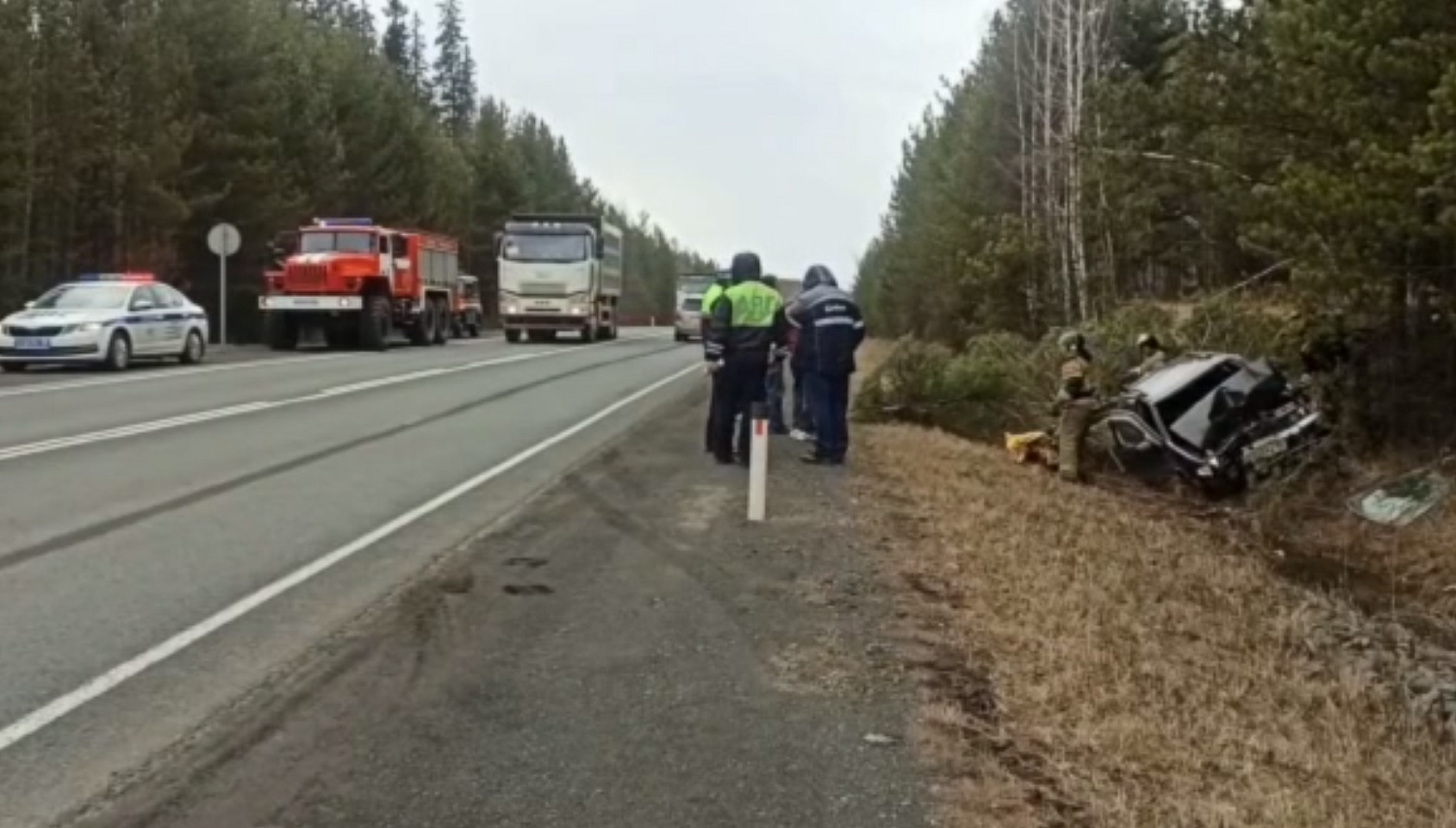 Nissan съехал с дороги и врезался в дерево в Нижнеудинском районе. Водитель  погиб — Иркутск Сегодня