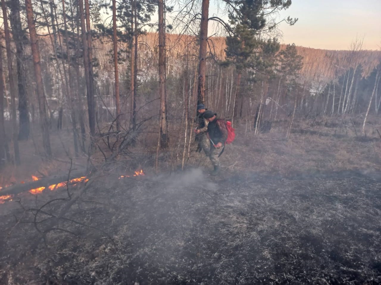 Один лесной пожар произошел в Иркутской области за сутки 21 апреля