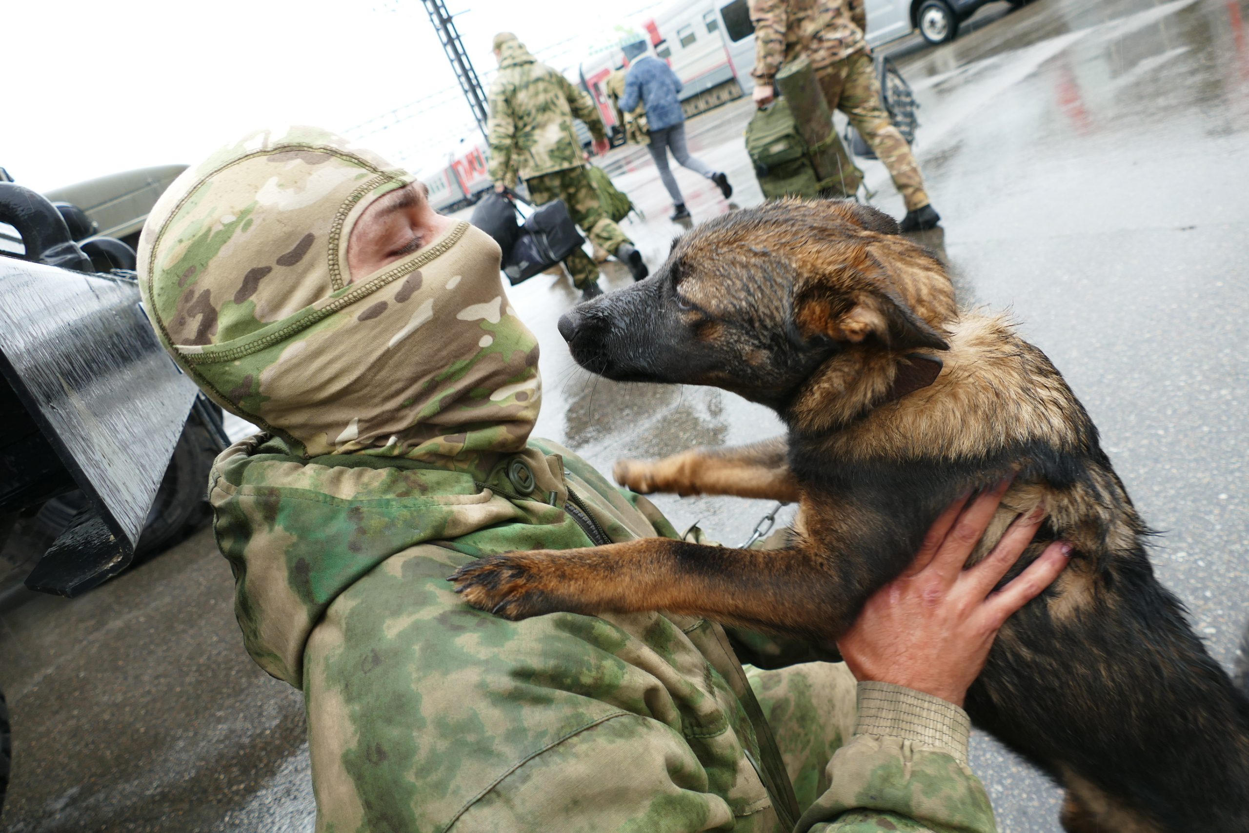 Омоновец привез домой в Иркутск спасенного в зоне СВО щенка