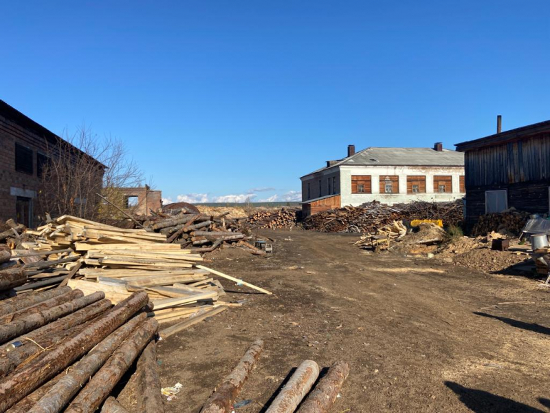 Организаторов контрабанды древесины на 78 млн рублей задержали в Приангарье