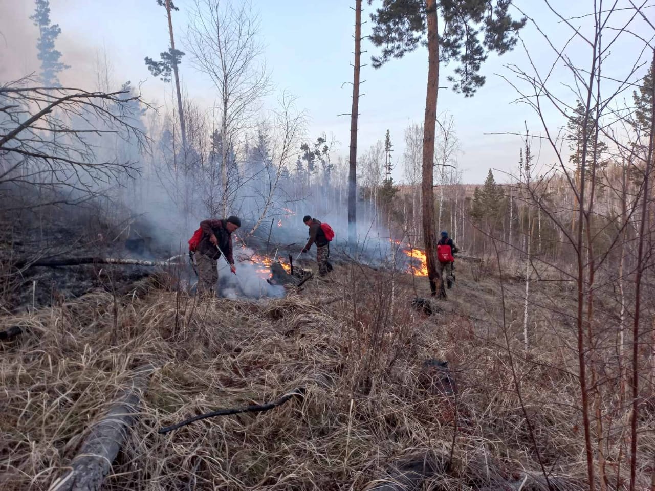 Первые в этом сезоне лесные пожары произошли в Иркутской области