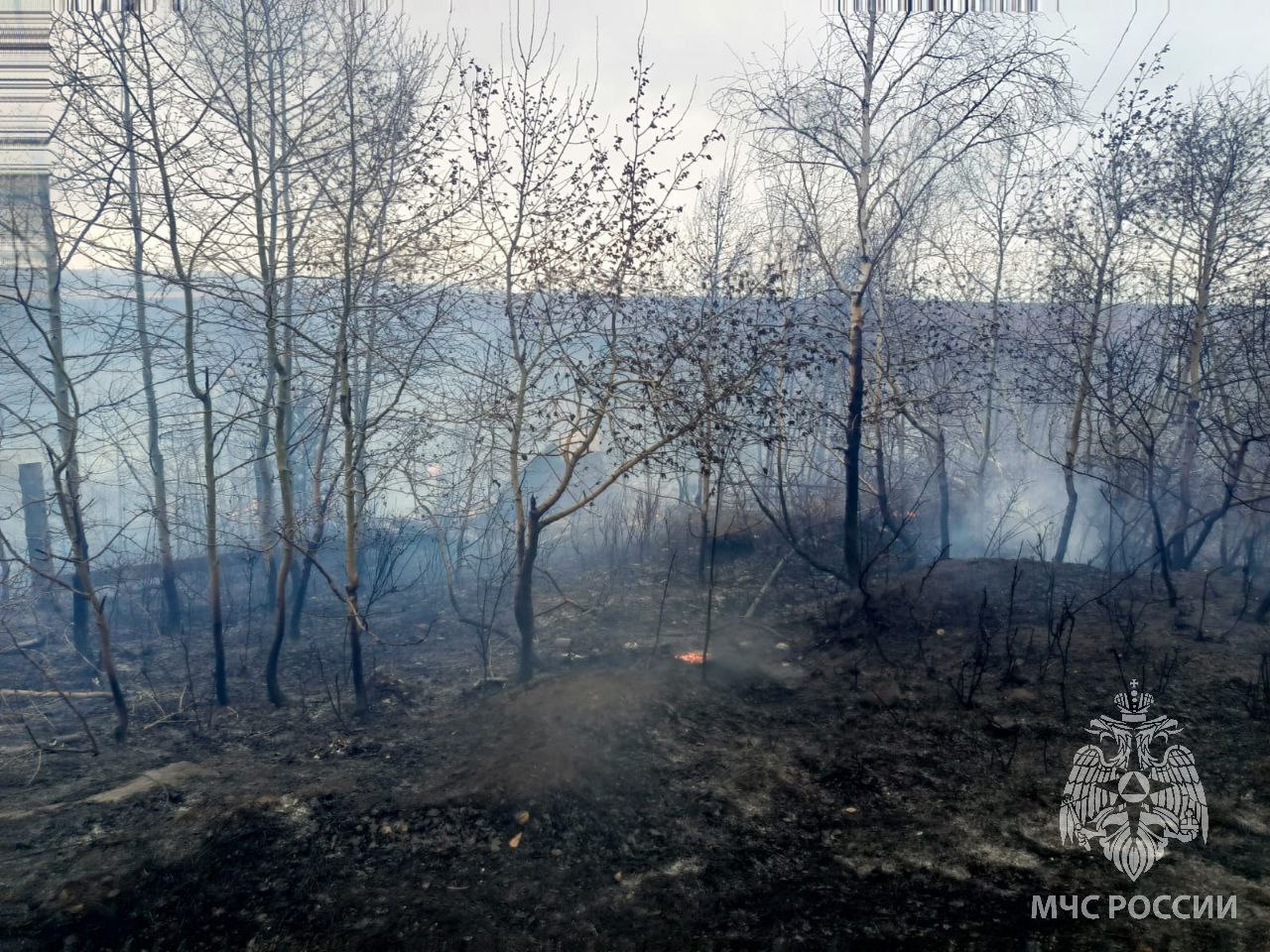 Два дачных поселка горело в Братске 29 апреля