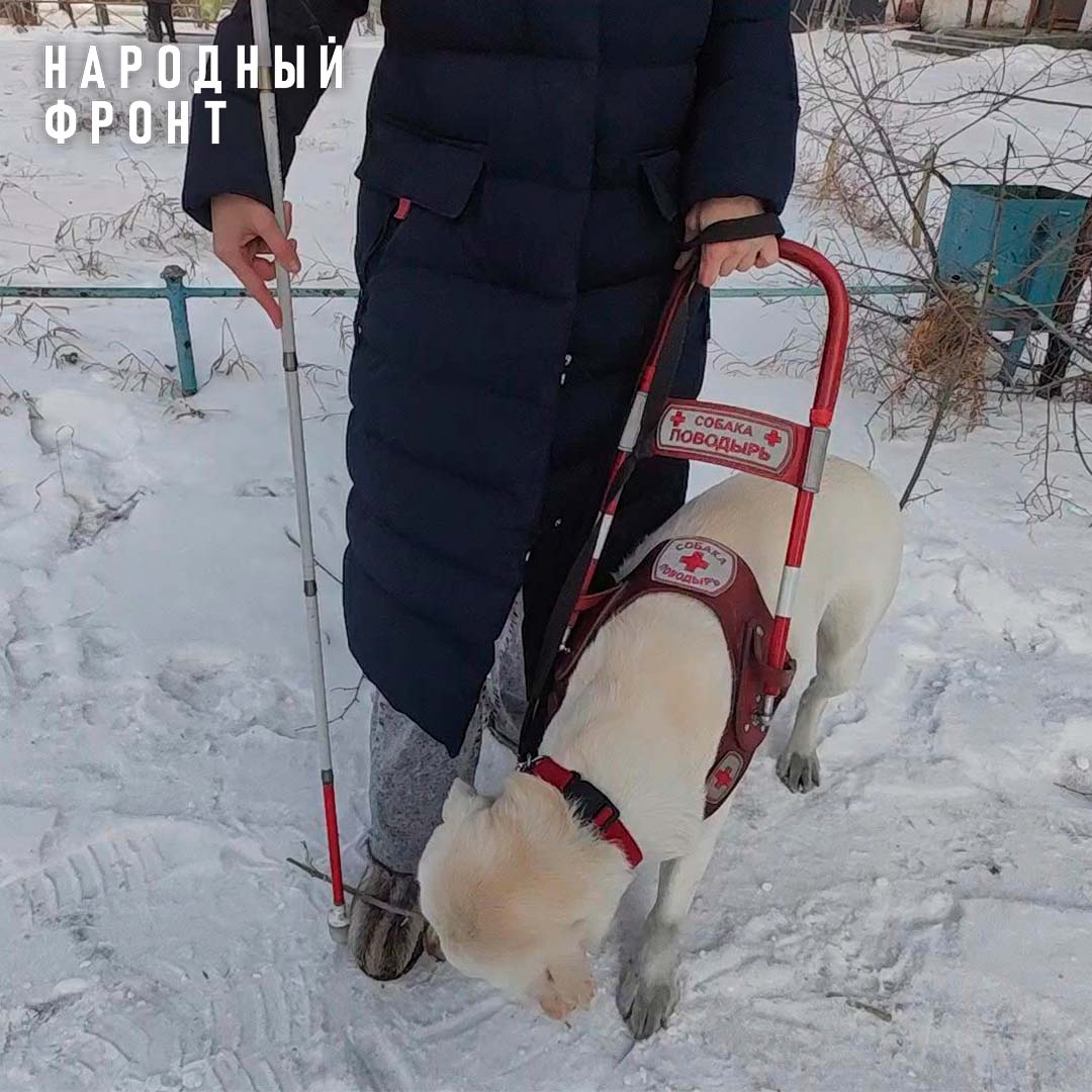 Кинотеатр в Иркутске обязали разработать правила размещения посетителей с собаками-поводырями после скандала
