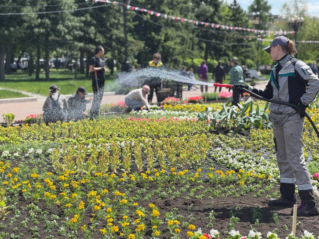 Цветы высаживают в сквере Кирова в Иркутске