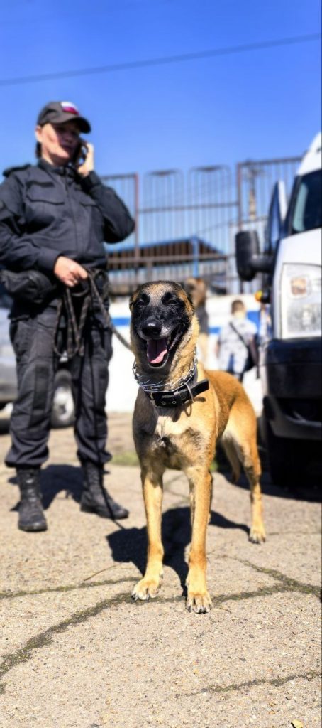 Силовики Иркутской области сразились в турнире на стадионе "Динамо"