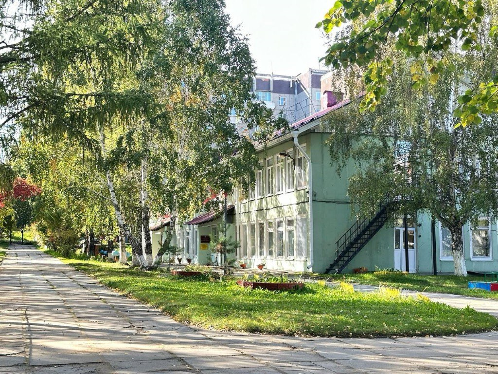 Зеленая аллея возле здания в солнечный день.