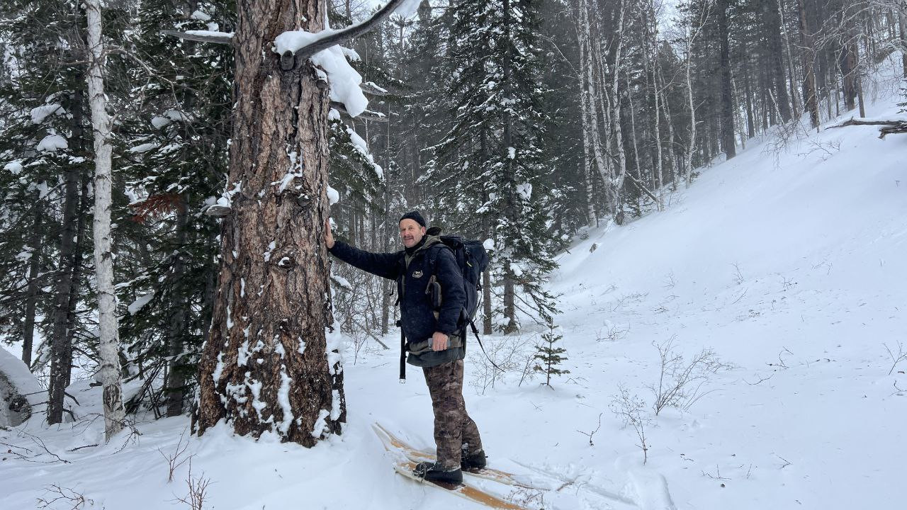В поисках оленей по Хамар-Дабану