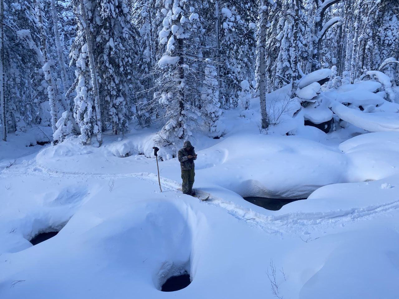 В поисках оленей по Хамар-Дабану