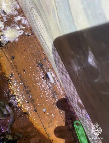 Пожарные спасли девять человек из горящей квартиры в Приангарье