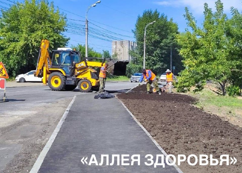 На Аллее здоровья в Иркутске появились ели, а на площади Декабристов укладывают плитку