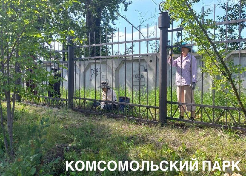 На Аллее здоровья в Иркутске появились ели, а на площади Декабристов укладывают плитку
