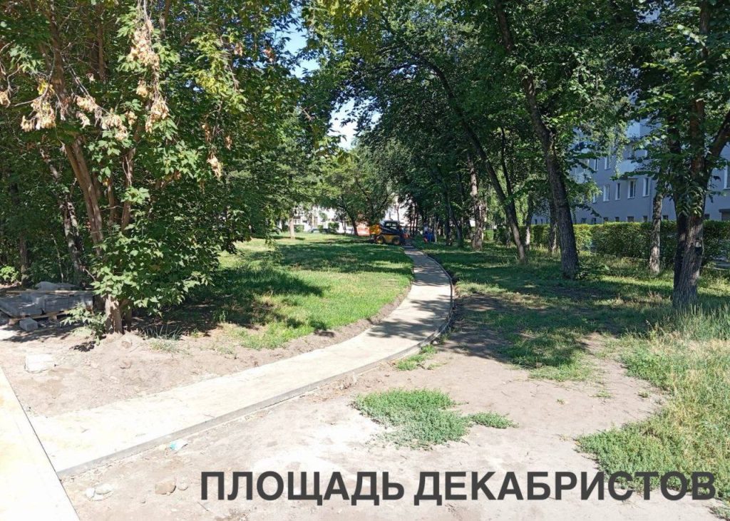 На Аллее здоровья в Иркутске появились ели, а на площади Декабристов укладывают плитку