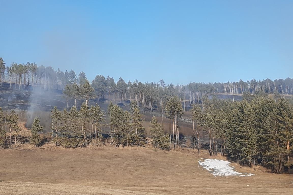 15 апреля в Приангарье зарегистрировали четыре лесных пожара