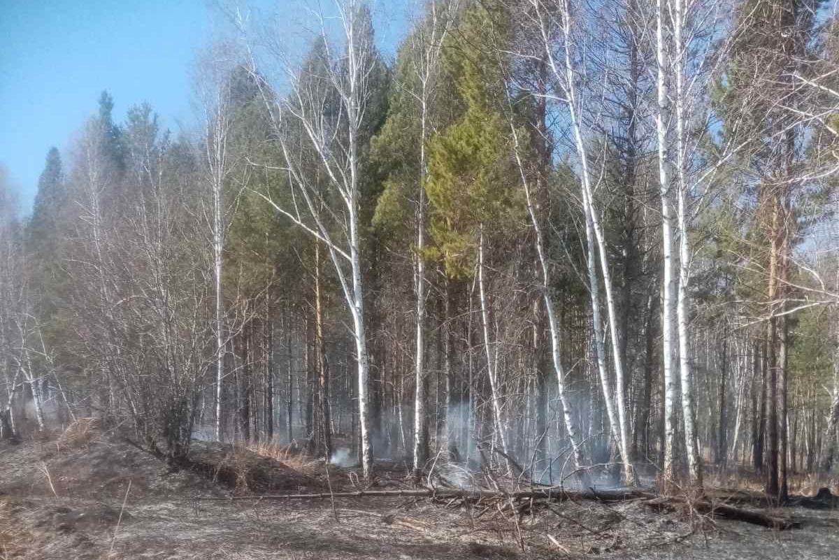 Два пожара потушили в Иркутской области за сутки 24 апреля