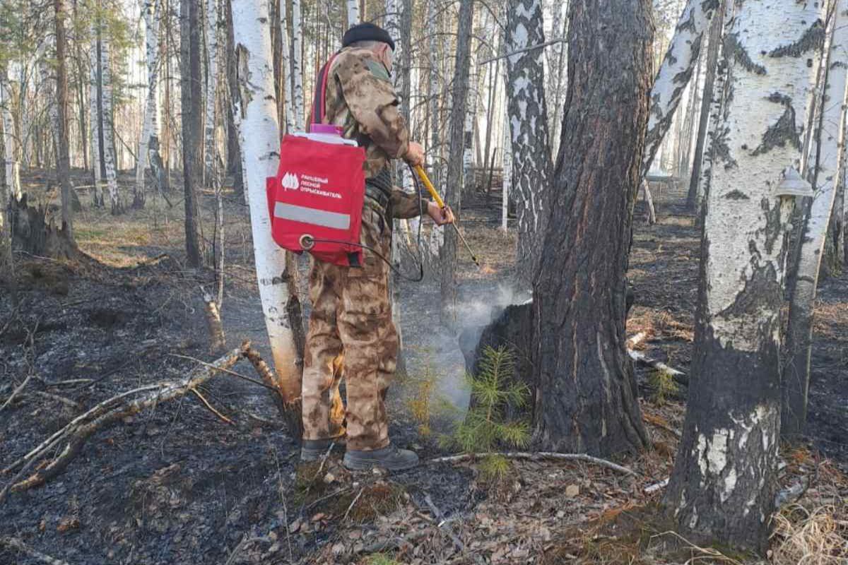 12 пожаров потушили в Иркутской области за сутки 18 апреля