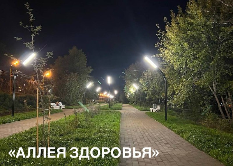Освещённая аллея в парке ночью с деревьями