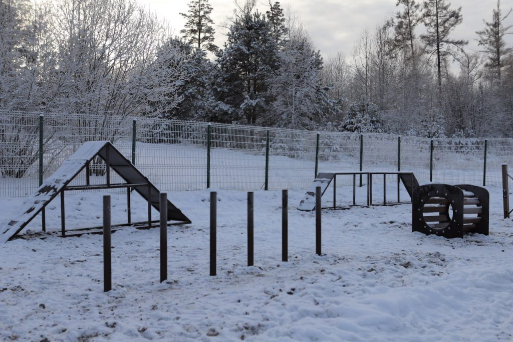 Площадка для выгула и дрессировки собак появилась в микрорайоне Зеленый