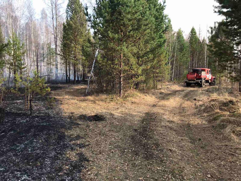 Площадь лесных пожаров в Иркутской области сократилась на три тысячи гектаров