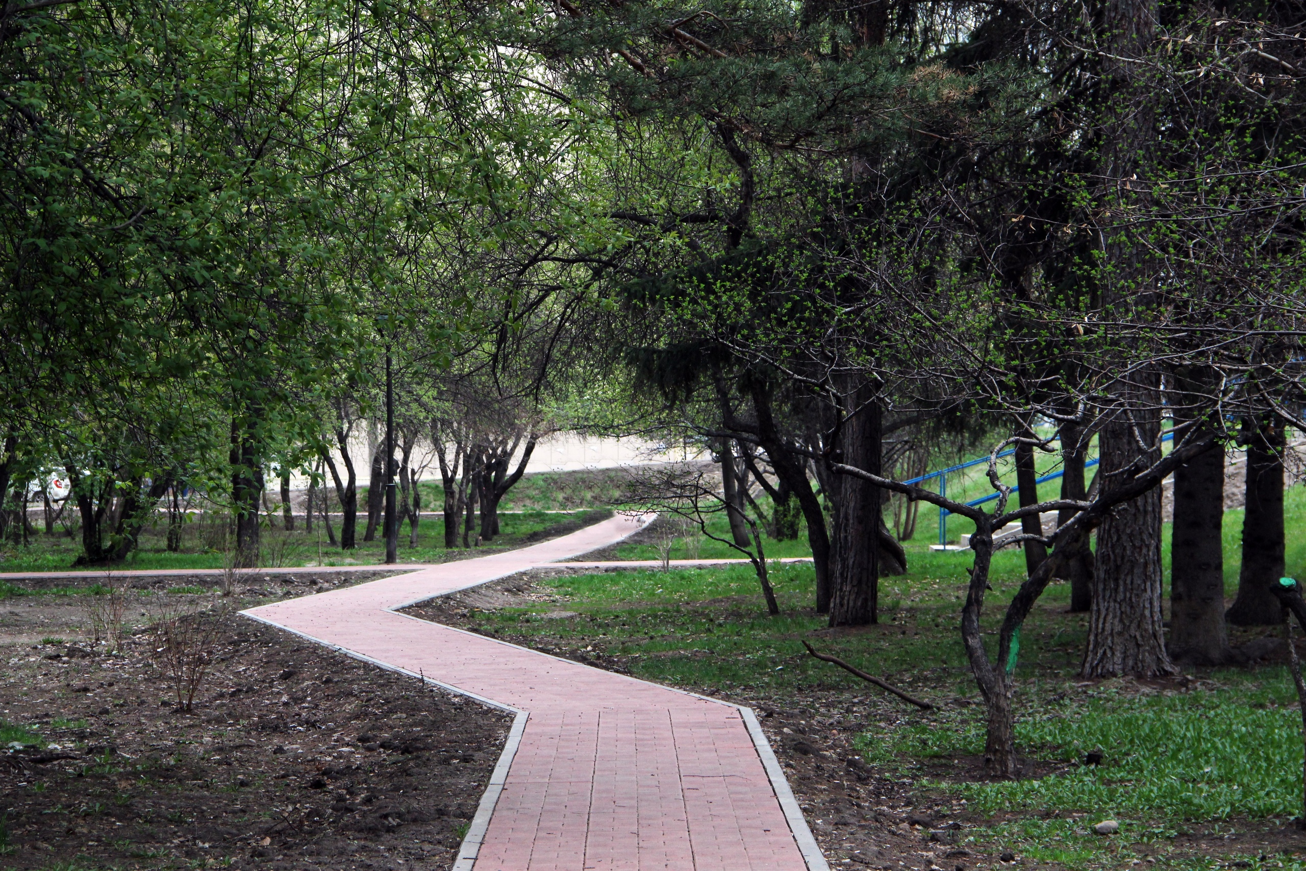 Площадь парков и скверов увеличили в Иркутске