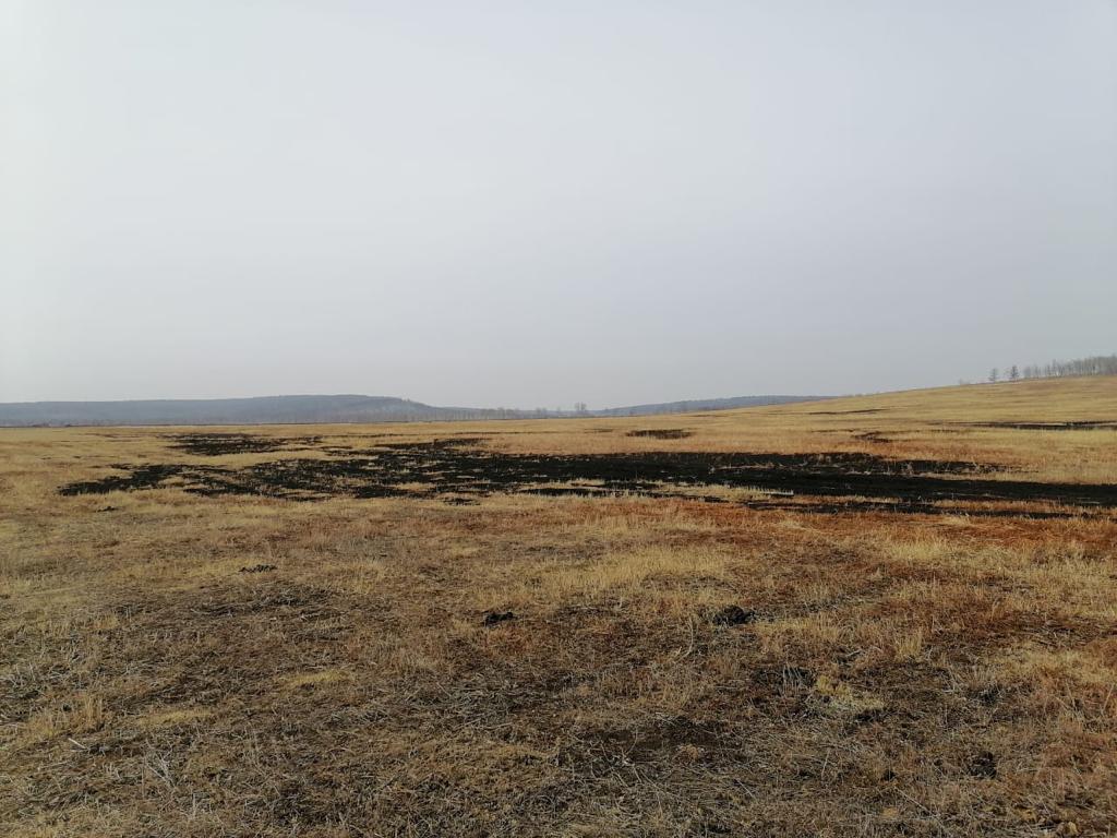 Поджигателя сухой травы привлекли к ответственности в Приангарье