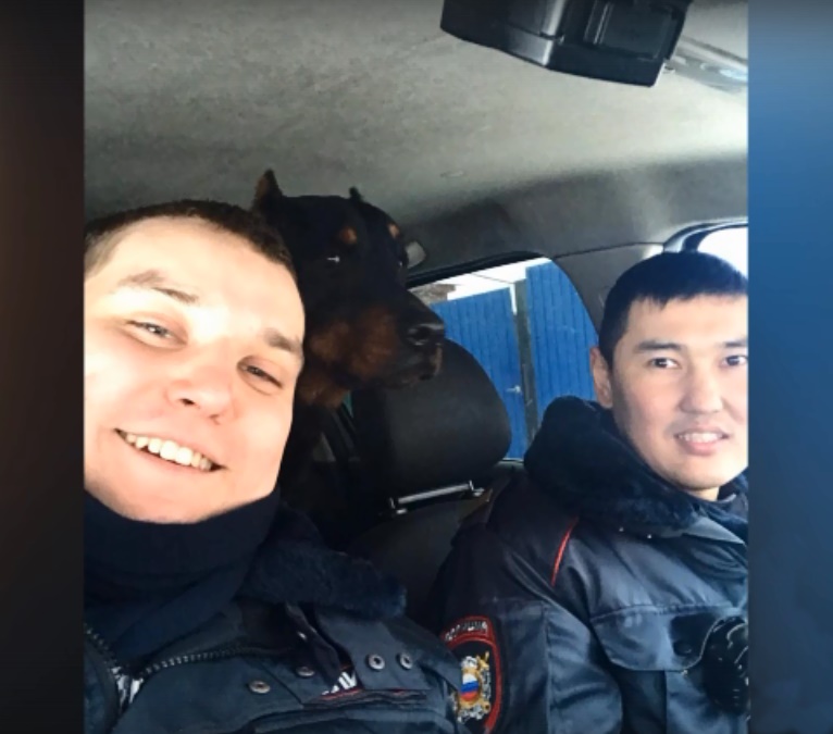 Полицейские в Иркутске спасли замерзающего добермана