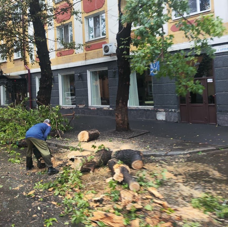 Рабочий убирает спиленные деревья возле здания.