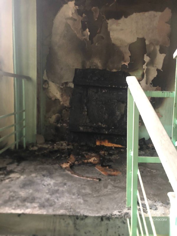 Причиной пожара в Лимнологическом институте в Иркутске стал поджог мусора