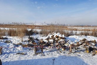 Прокуратура начала проверку из-за свалки опасных отходов в заказнике "Птичья гавань"