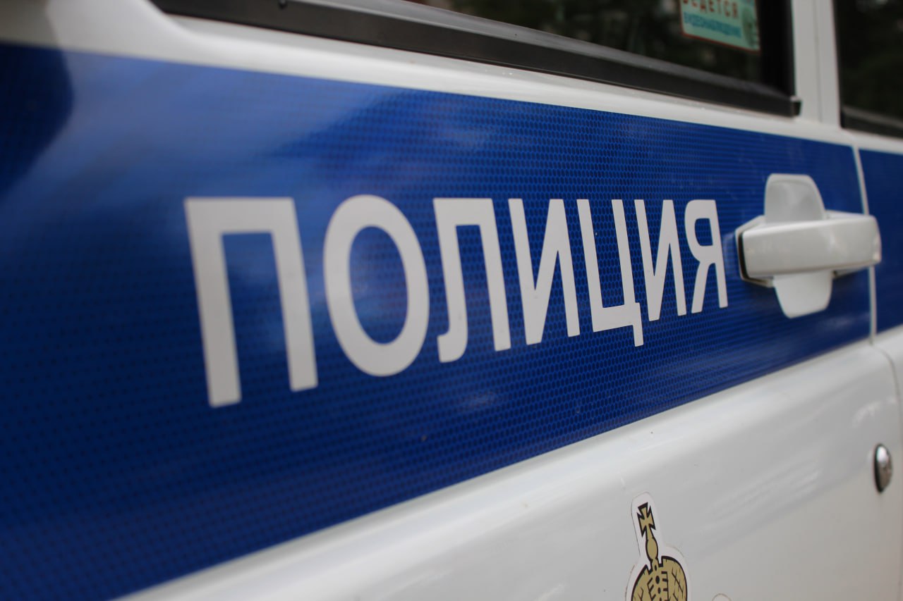 Полиция проводит проверку по факту наезда на собаку в Иркутске
