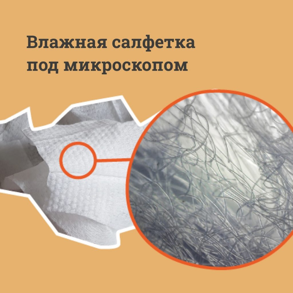В "Заповедном Прибайкалье" показали, почему влажные салфетки опасны для экологии