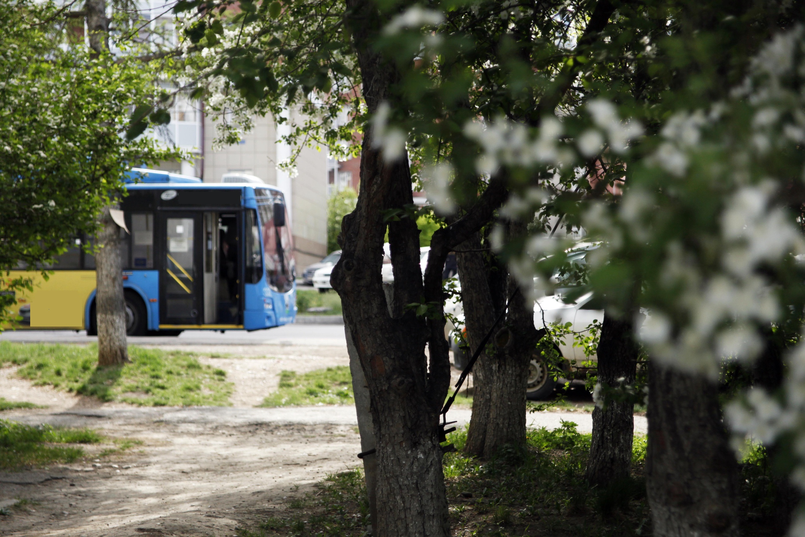 Работу общественного транспорта продлят на День города в Иркутске