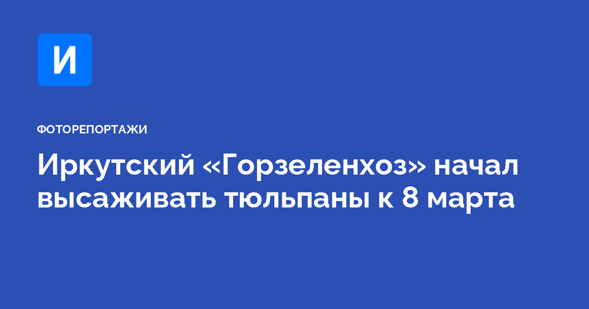 Иркутский «Горзеленхоз» выращивает тюльпаны к 8 марта. Фото