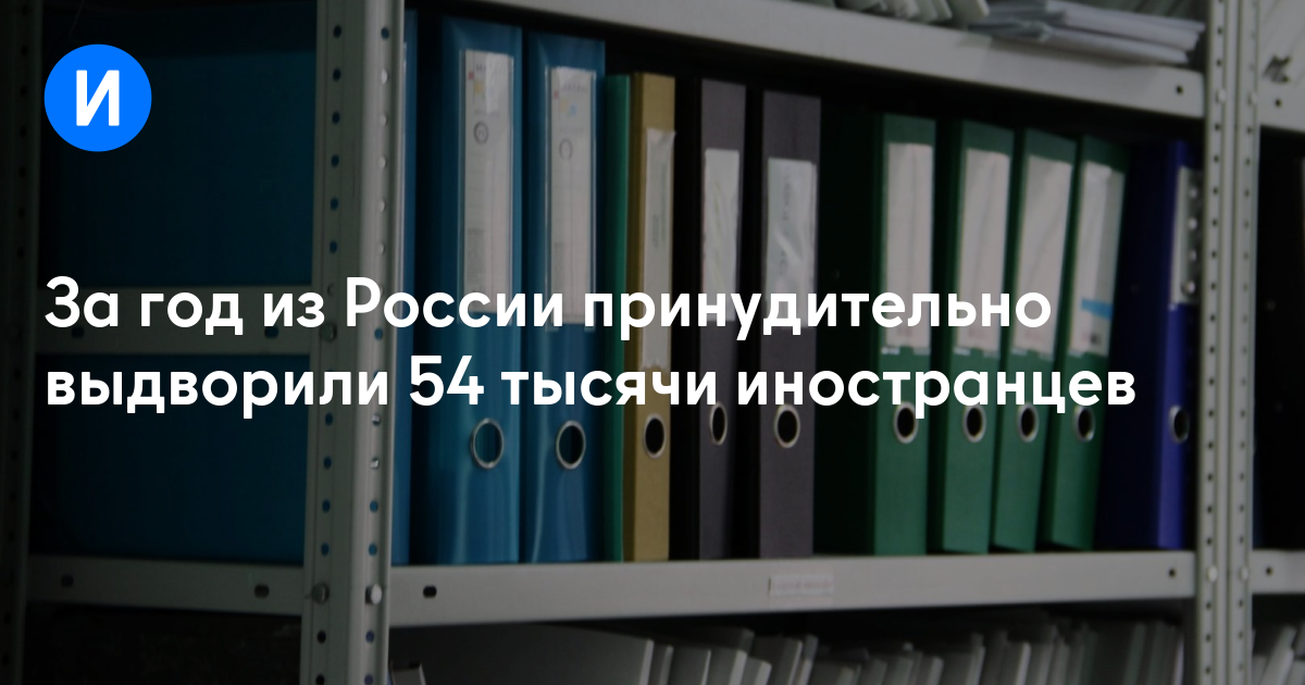 За год из России принудительно выдворили 54 тысячи иностранцев