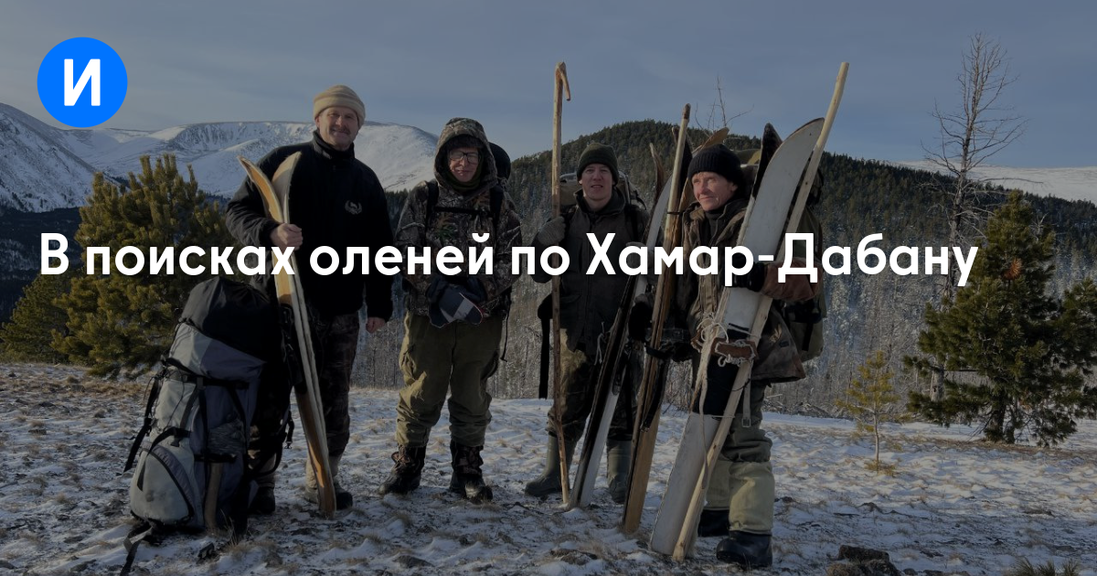 В поисках оленей по Хамар-Дабану