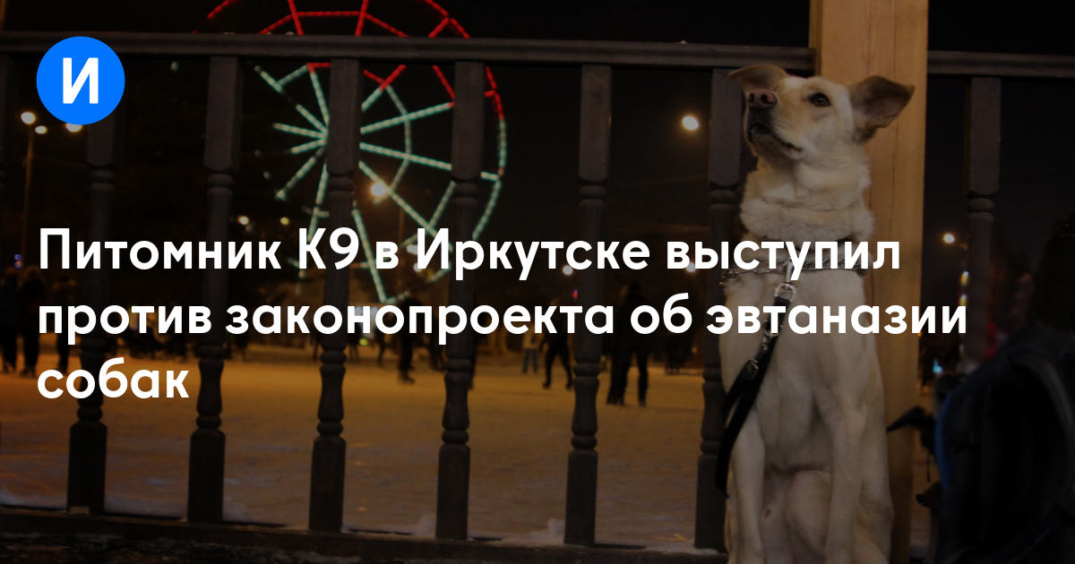 Питомник К9 в Иркутске выступил против законопроекта об эвтаназии собак