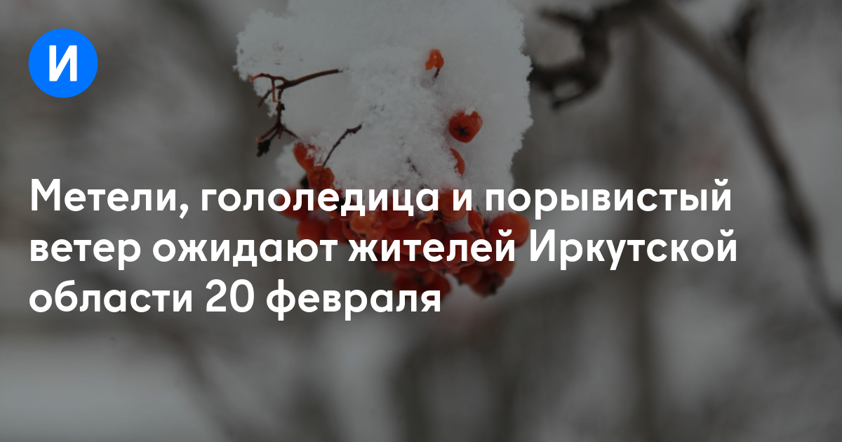 Метели, гололедица и порывистый ветер ожидают жителей Иркутской области 20 февраля