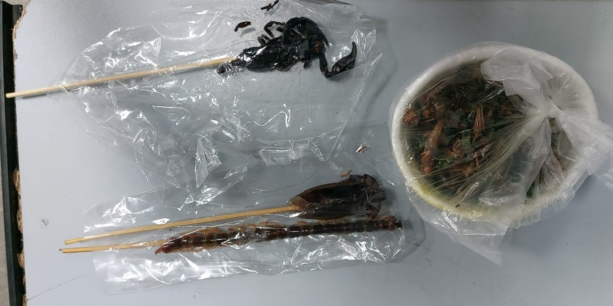 Шашлык из скорпиона изъяли у пассажира в иркутском аэропорту