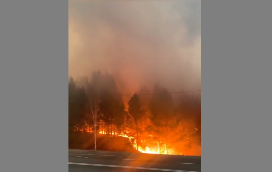 Сильный лесной пожар произошел в Зиминском районе Приангарья