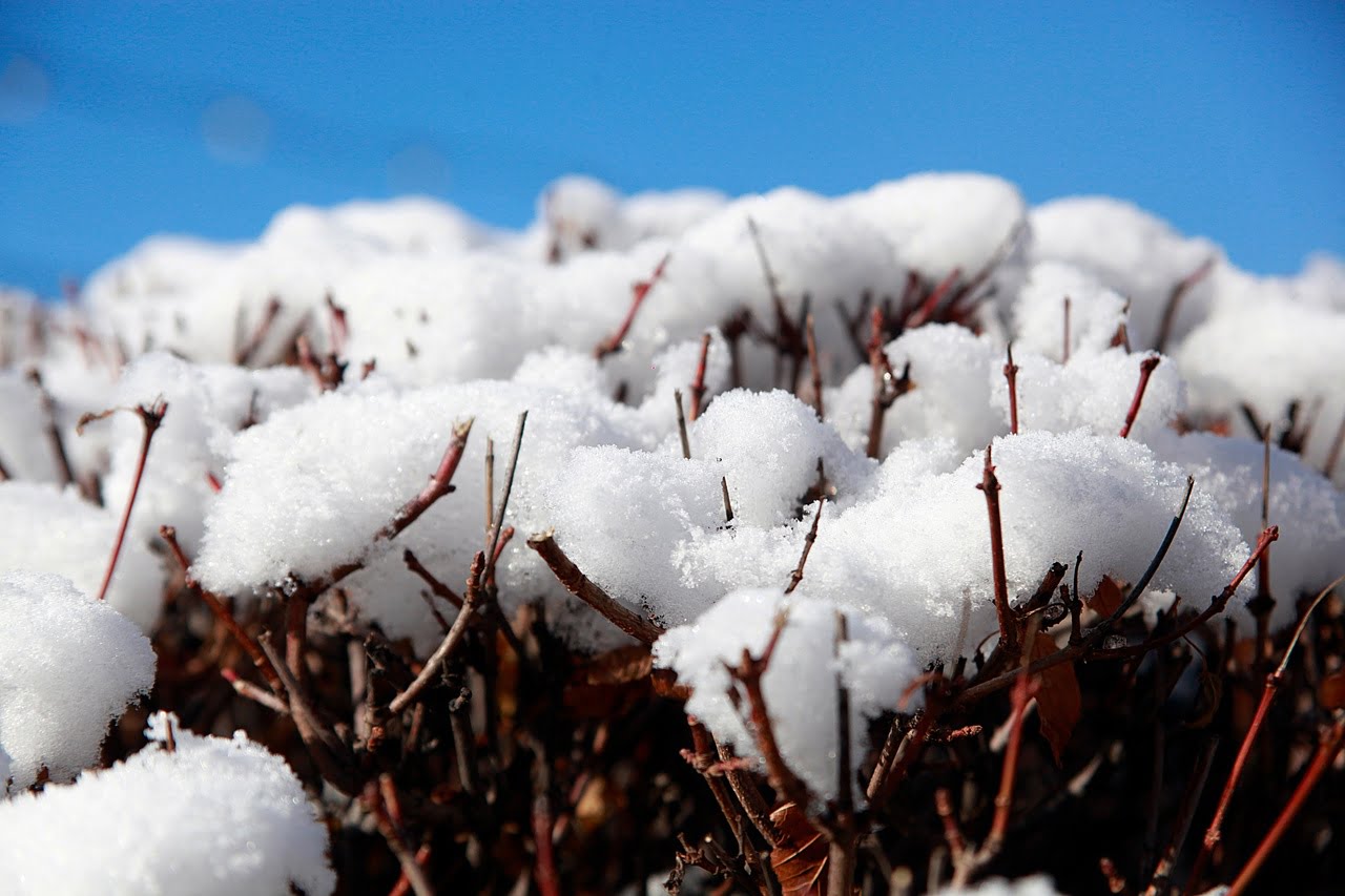 Снег и сильный ветер прогнозируют в Приангарье на 6 декабря