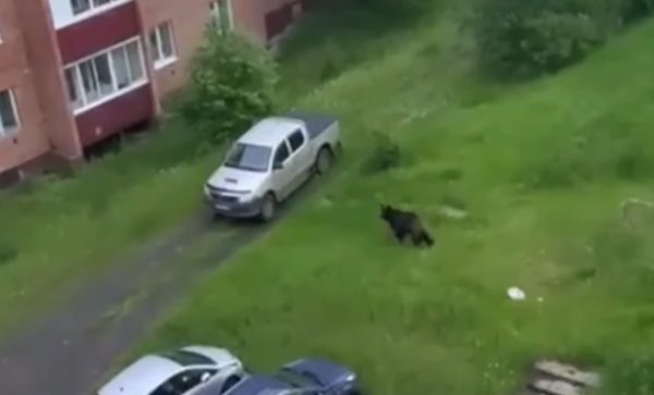 Главные новости Иркутска и Иркутской области