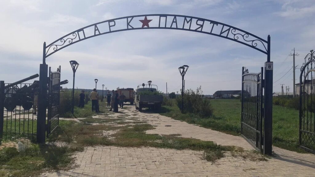 Сосновый лес заложили в поселке Залари Иркутской области