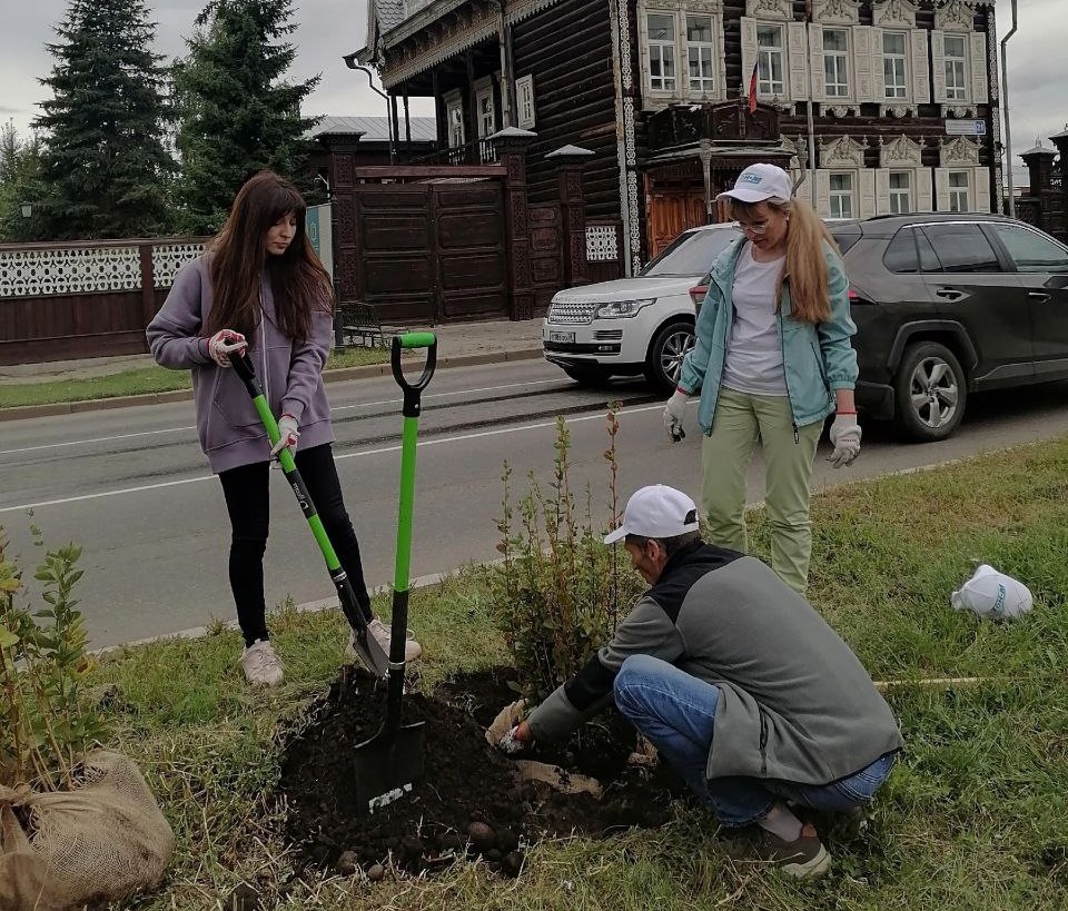 Сотню деревьев и кустарников высадили в Купеческом сквере в Иркутске