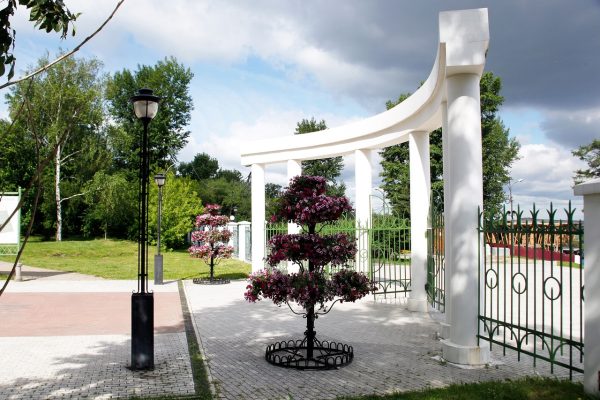 Главные новости Иркутска и Иркутской области