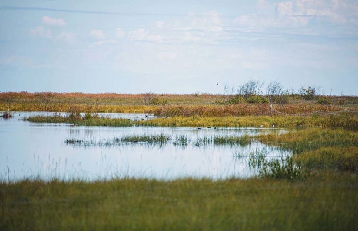 Таловские озера в Слюдянском районе станут особо охраняемой территорией