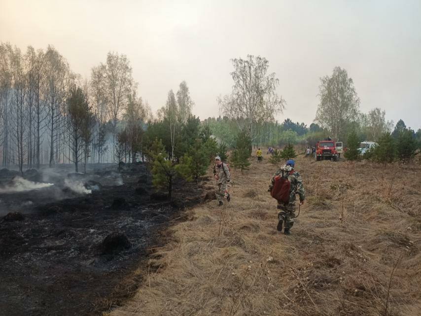 Площадь пожаров в Иркутской области на 17 мая составляет 8,5 тысячи га