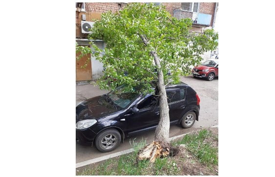 Тулунчанин отсудил ущерб за поврежденный деревом автомобиль