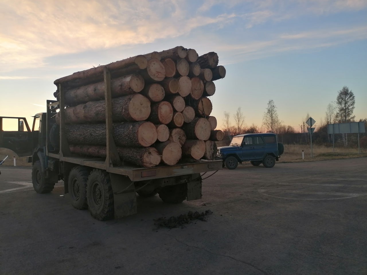 Тулунчанина задержали за незаконную рубку деревьев на 400 тысяч рублей