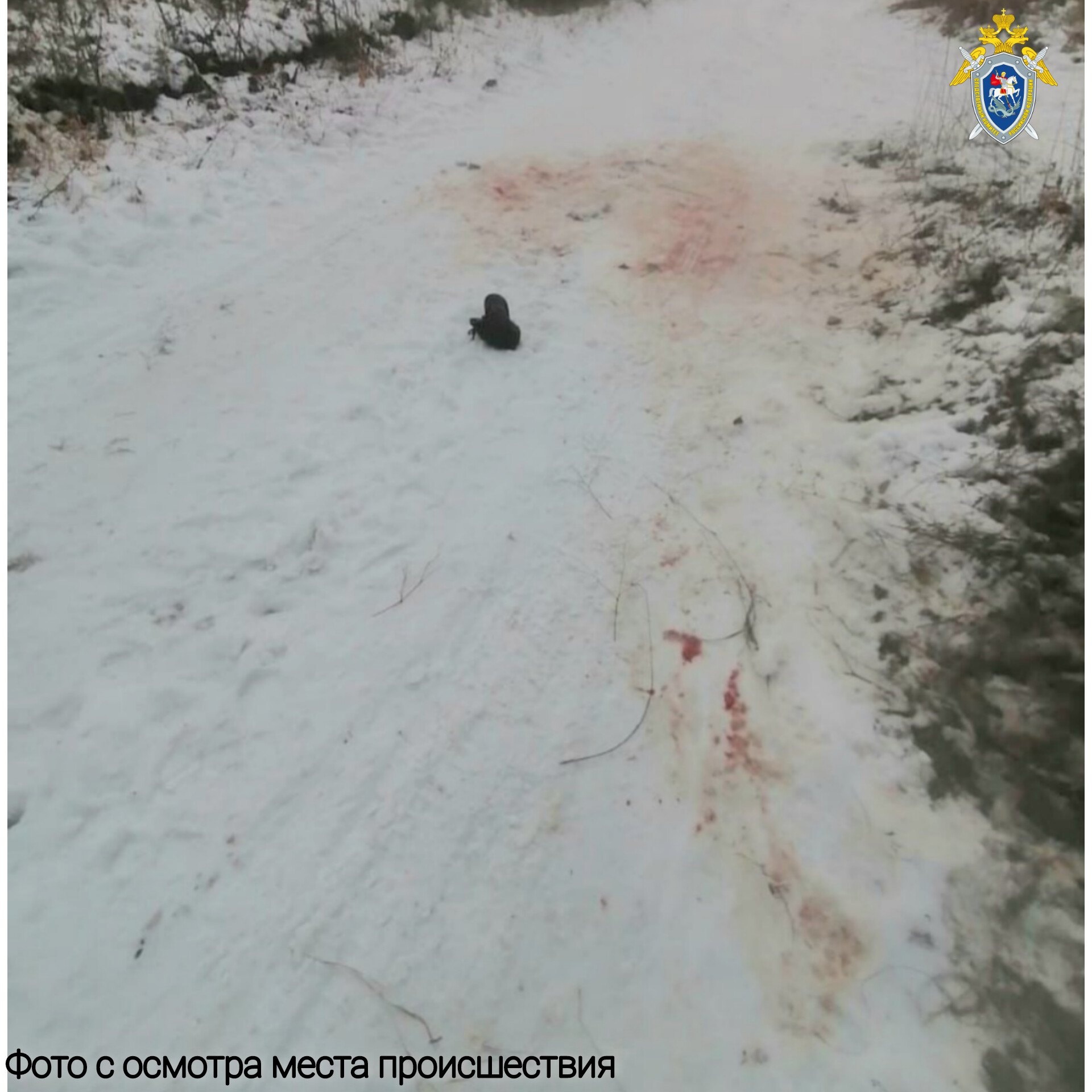 Уголовное дело возбудили после гибели мужчины от нападения собак в Усолье-Сибирском