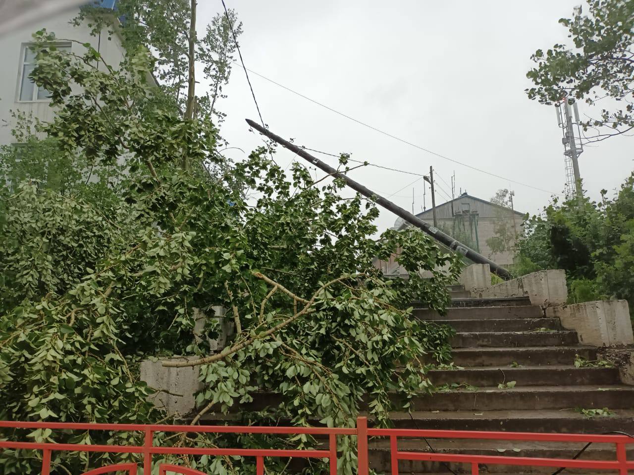 Ветер повалил ЛЭП и деревья в Киренске