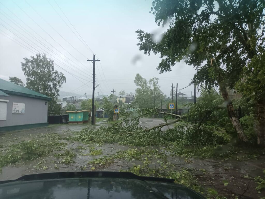 Ветер повалил ЛЭП и деревья в Киренске